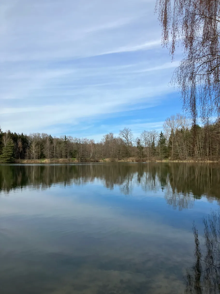 Unterer Ulich (Huisheim) angeln