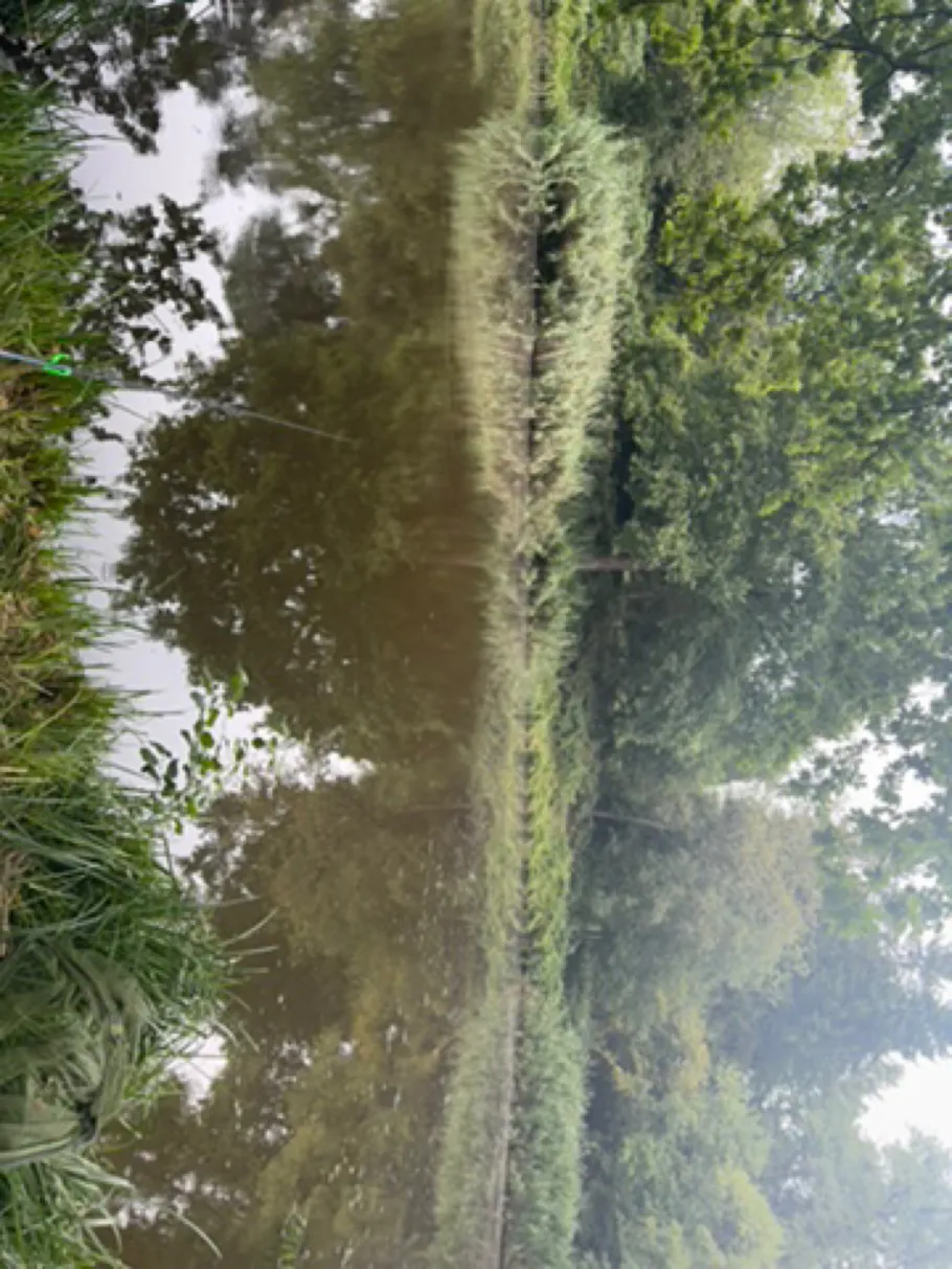 Zu den Sieben Weihern (Klarenthal) angeln