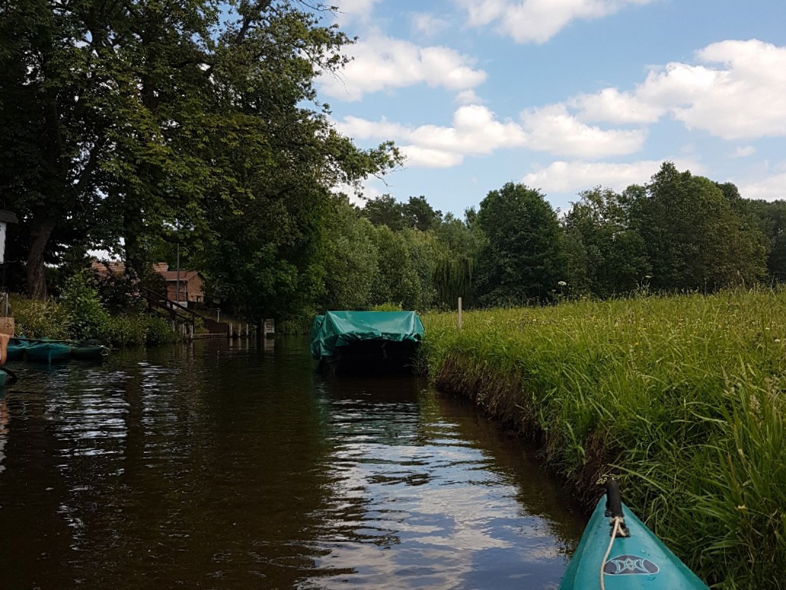 Südumfluter (Burg/Spreewald) angeln