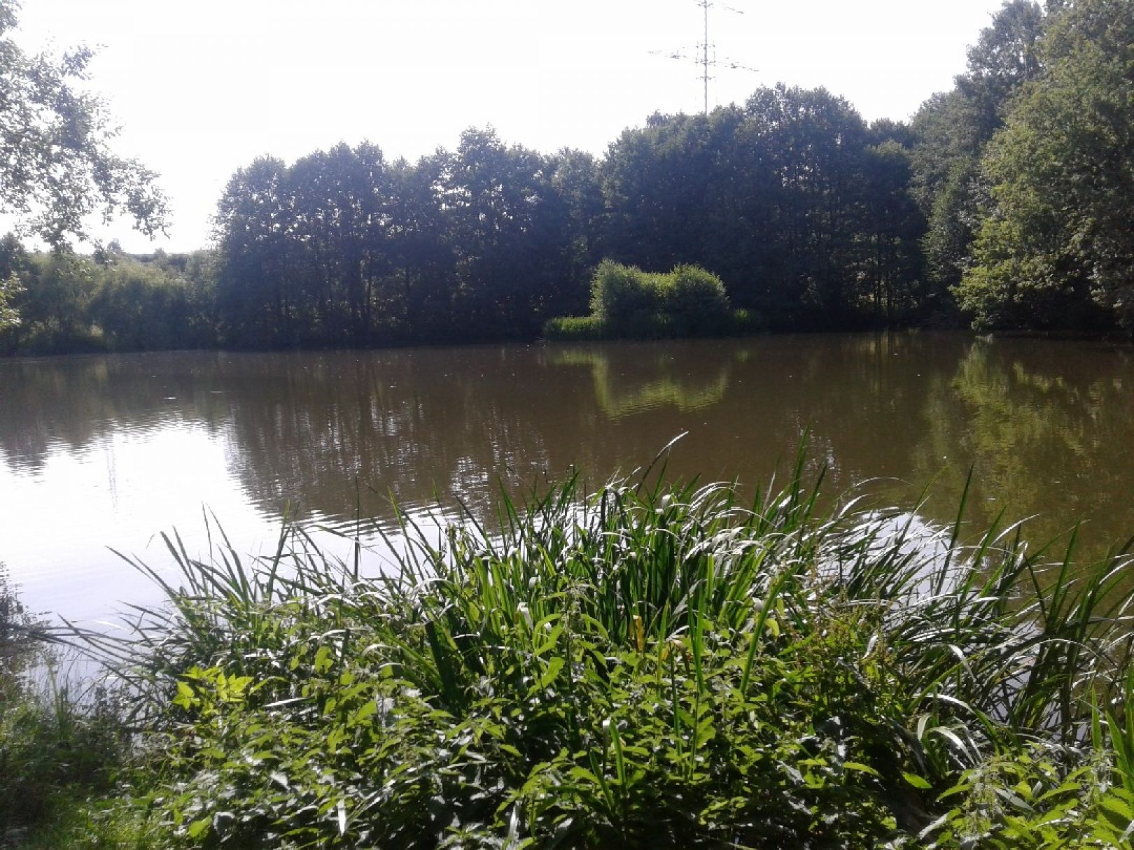 Stau Richterbusch angeln