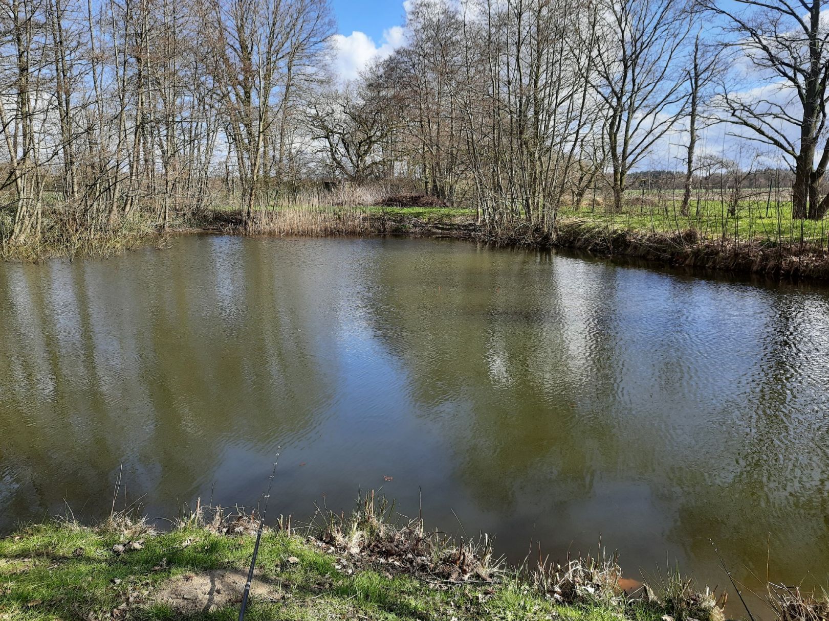 Angeln in Heidenau