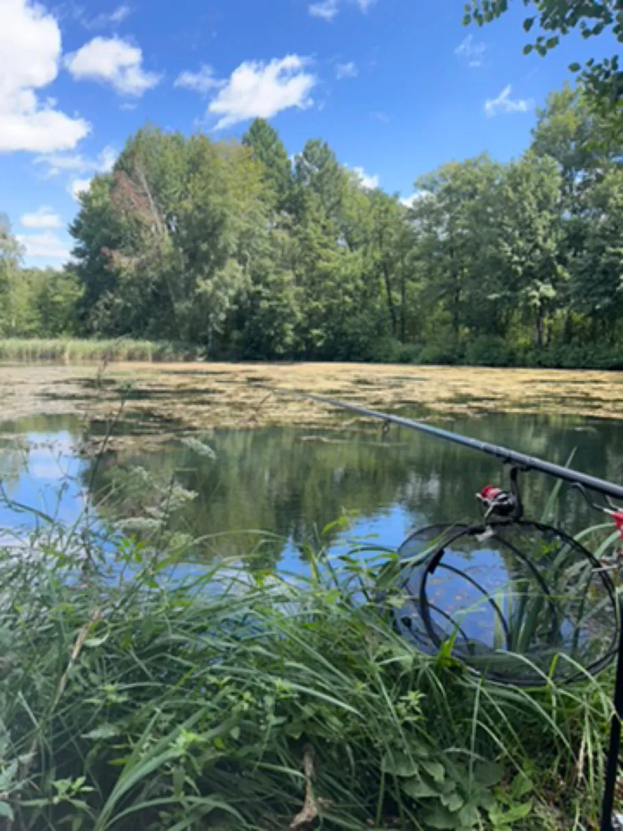Wurzelteich (Haidemühl) angeln