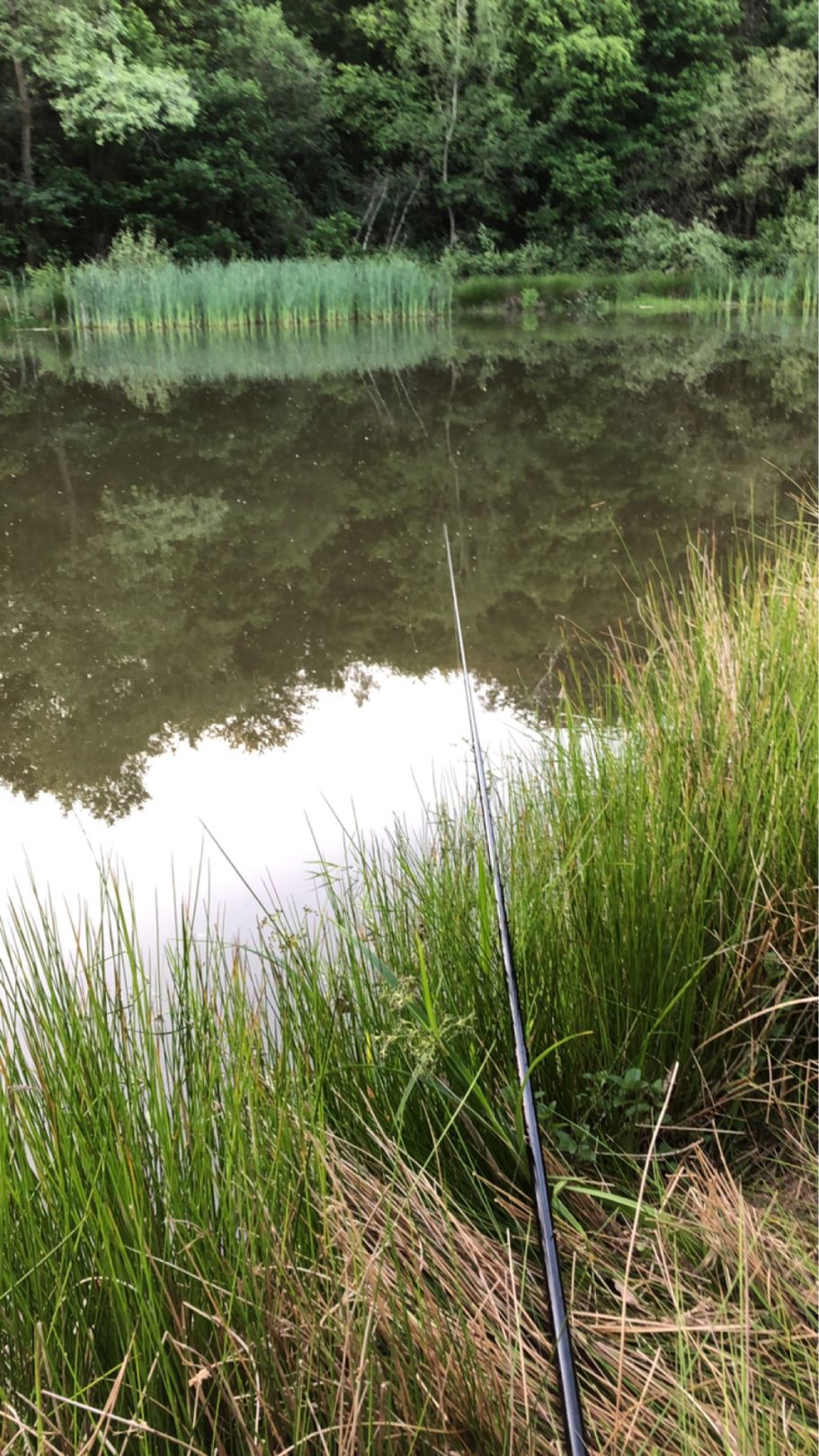 Bühner See angeln