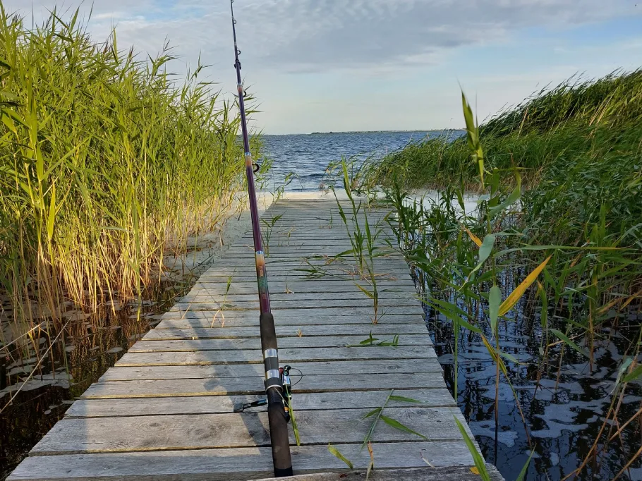 Breeger Bodden angeln
