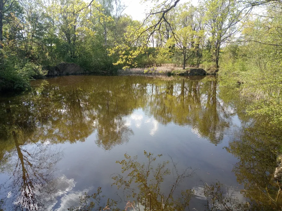 Steinbruch (Lampersdorf) angeln