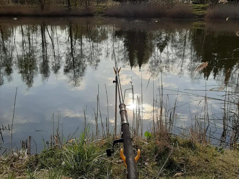 Kiesgrube (Denstorf) angeln