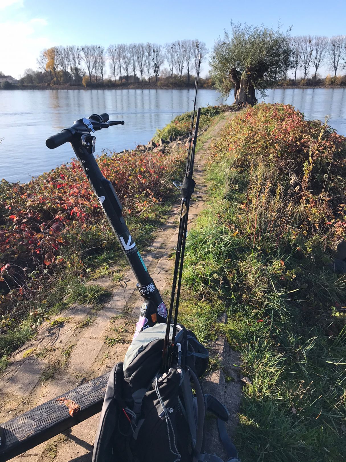 Angeln in Hamm am Rhein