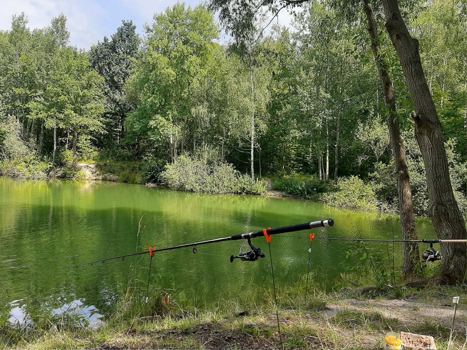 Große Grube (Gösen) angeln