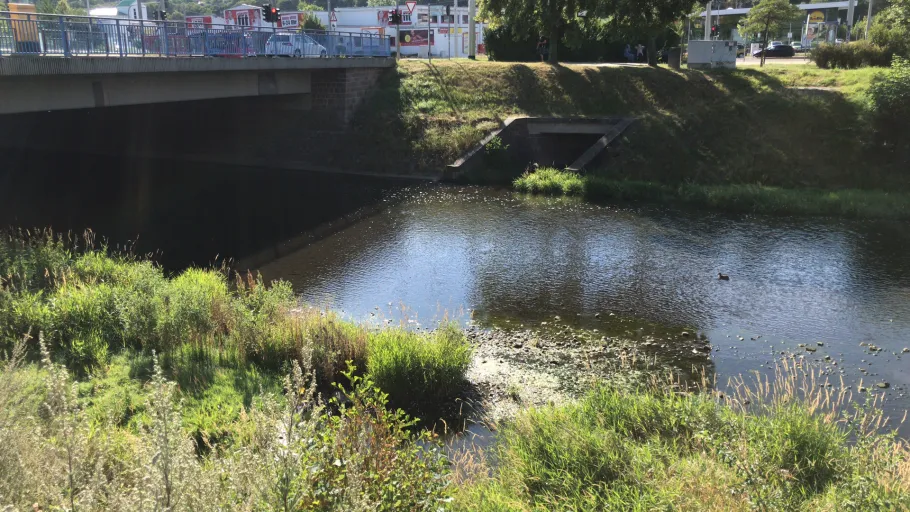 Weiße Elster (Plauen) angeln