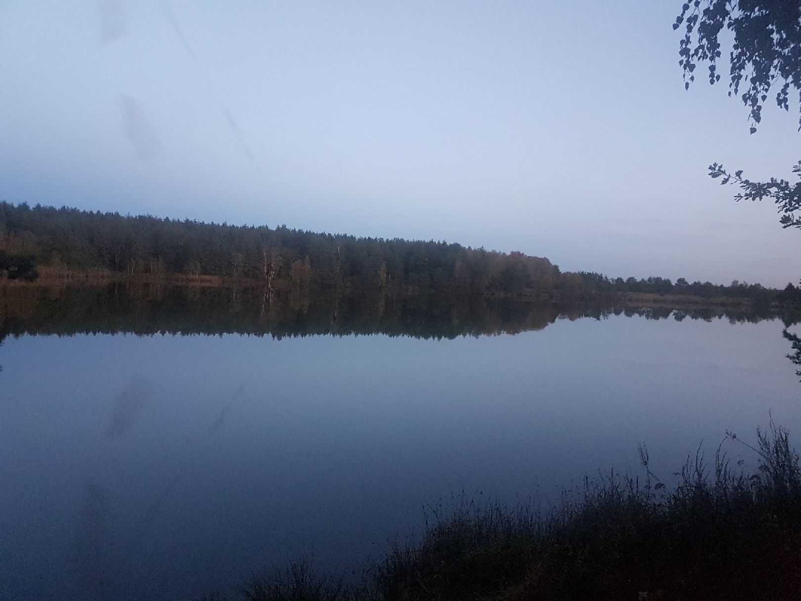 Edelmannsee (Schwarzenfeld) angeln