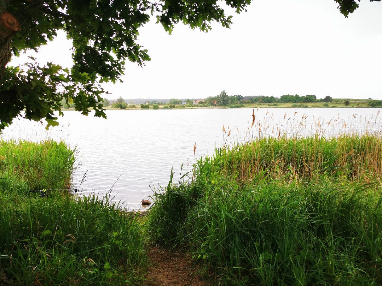 Angeln in Groß Plasten