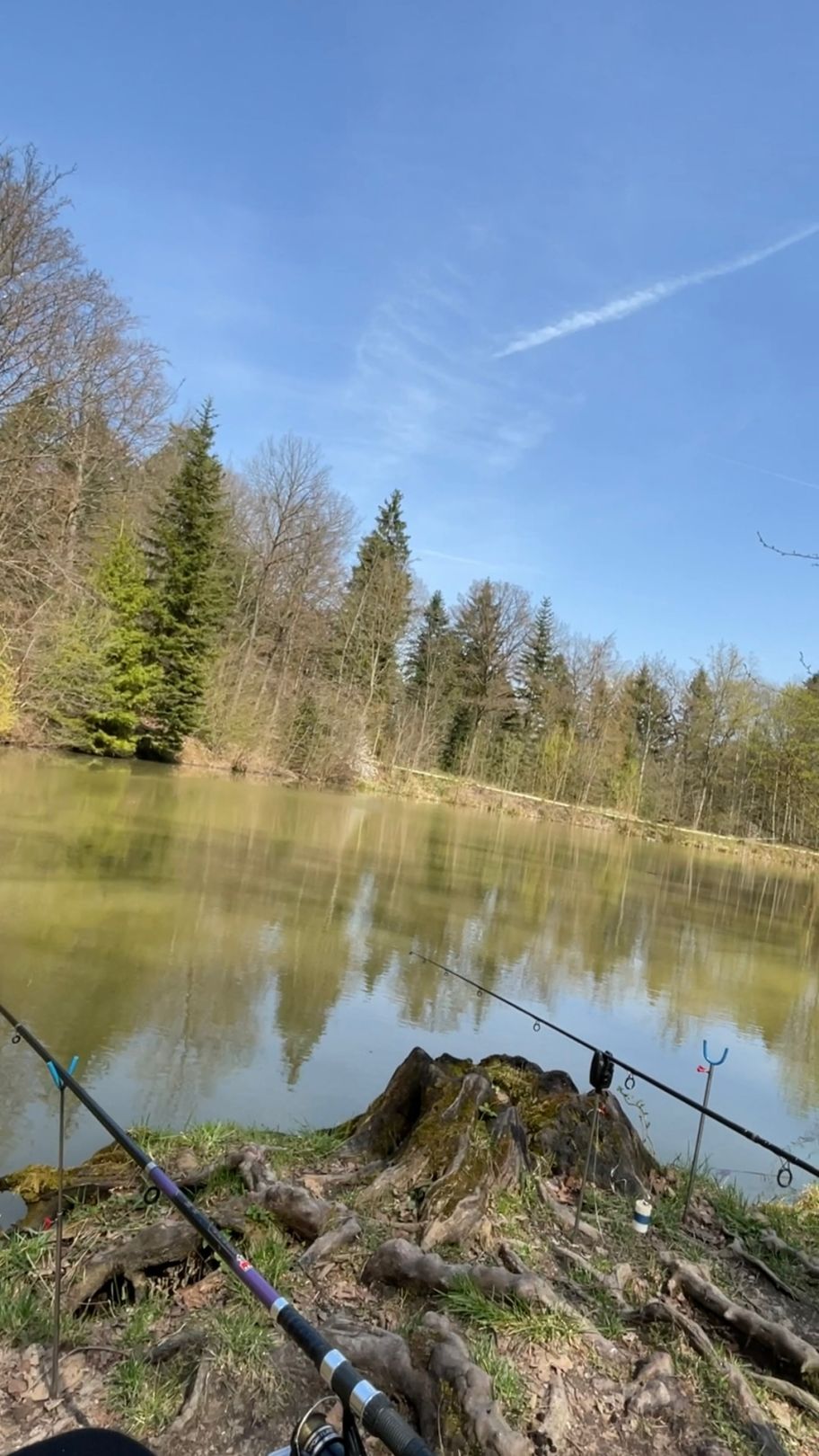 Waldsee Aalen angeln