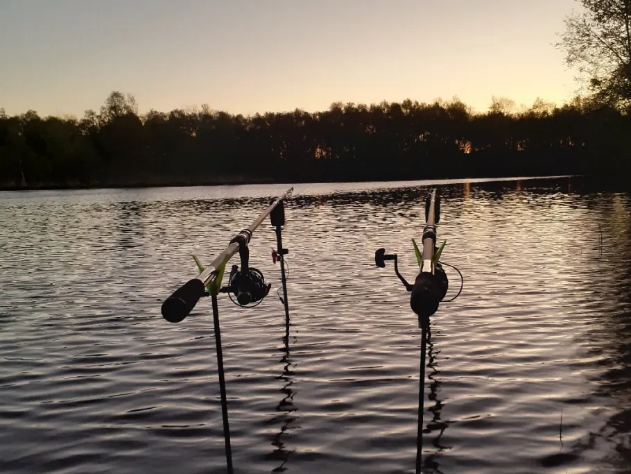 See am Altersheim (Warsingsfehn) angeln