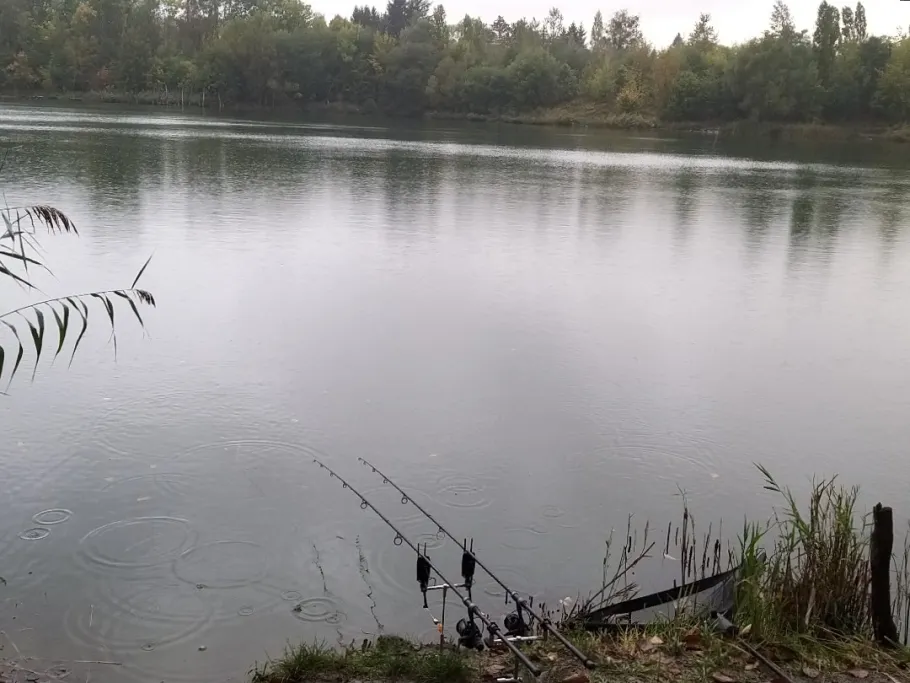 Steuerbruch (Herzfelde) angeln