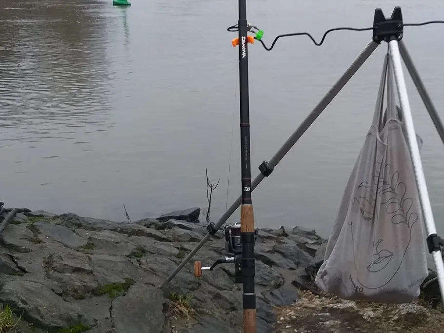 Rhein (Stürzelberg) angeln