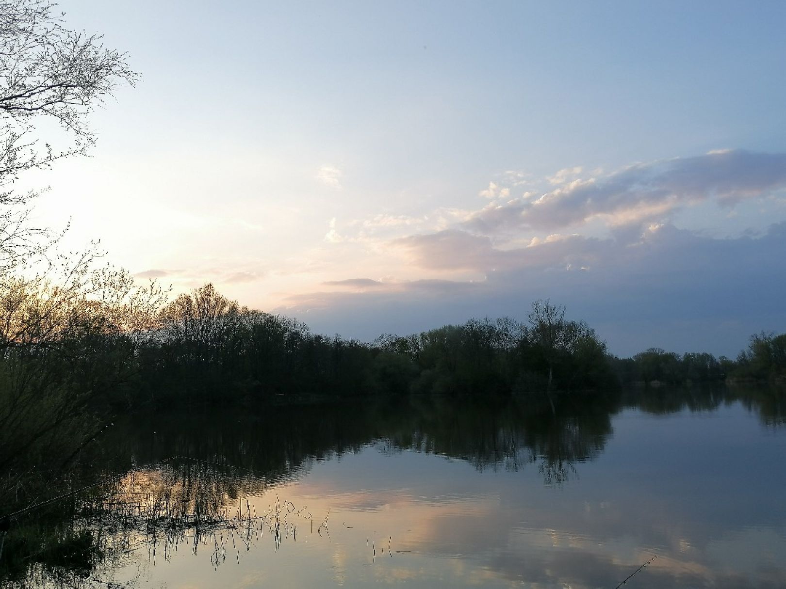 Großer Hemminger Teich angeln