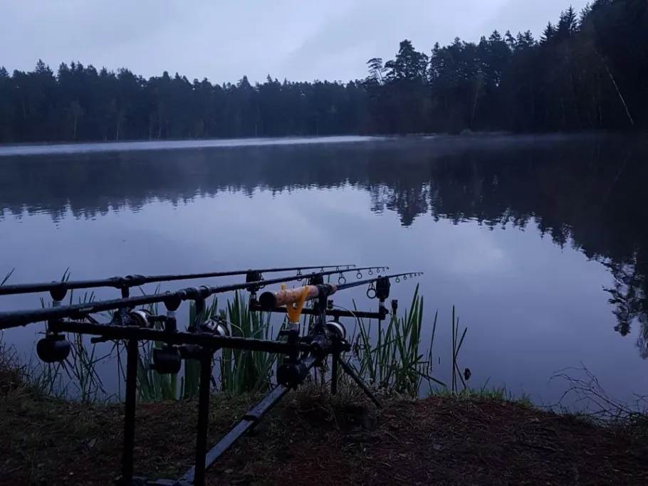 Nový Kanclíř angeln