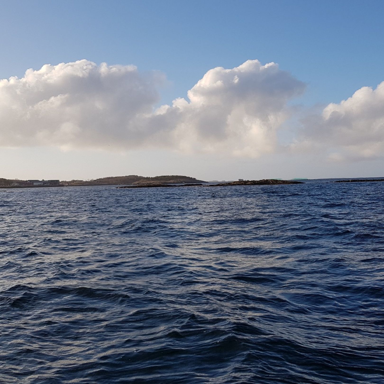 Hamnøya angeln