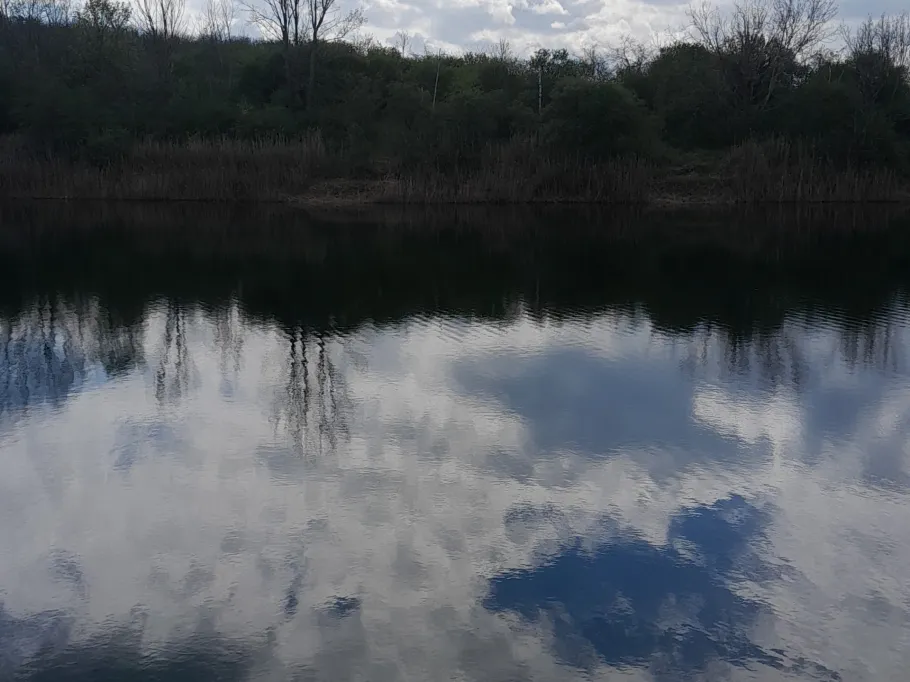 Neues Tonloch (Beesenlaublingen) angeln