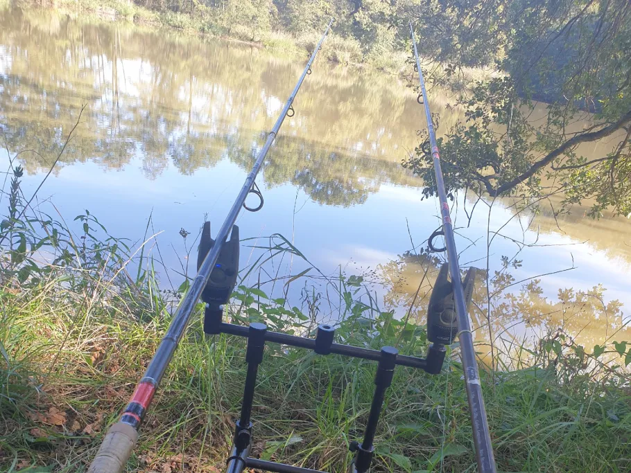 Großteich (Kössern) angeln