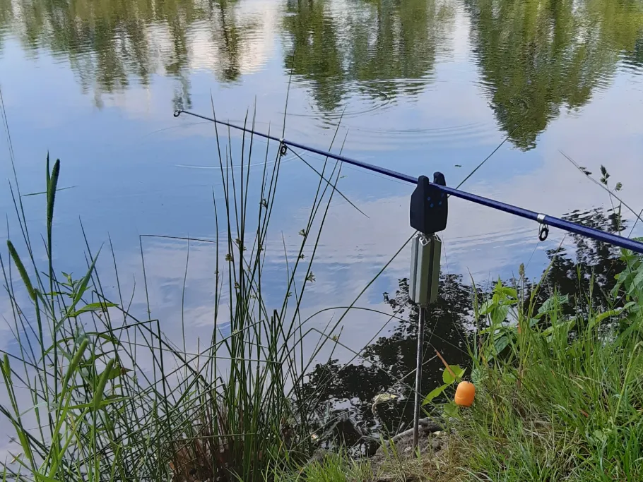 Kaolinenteich (Bad Lausick) angeln
