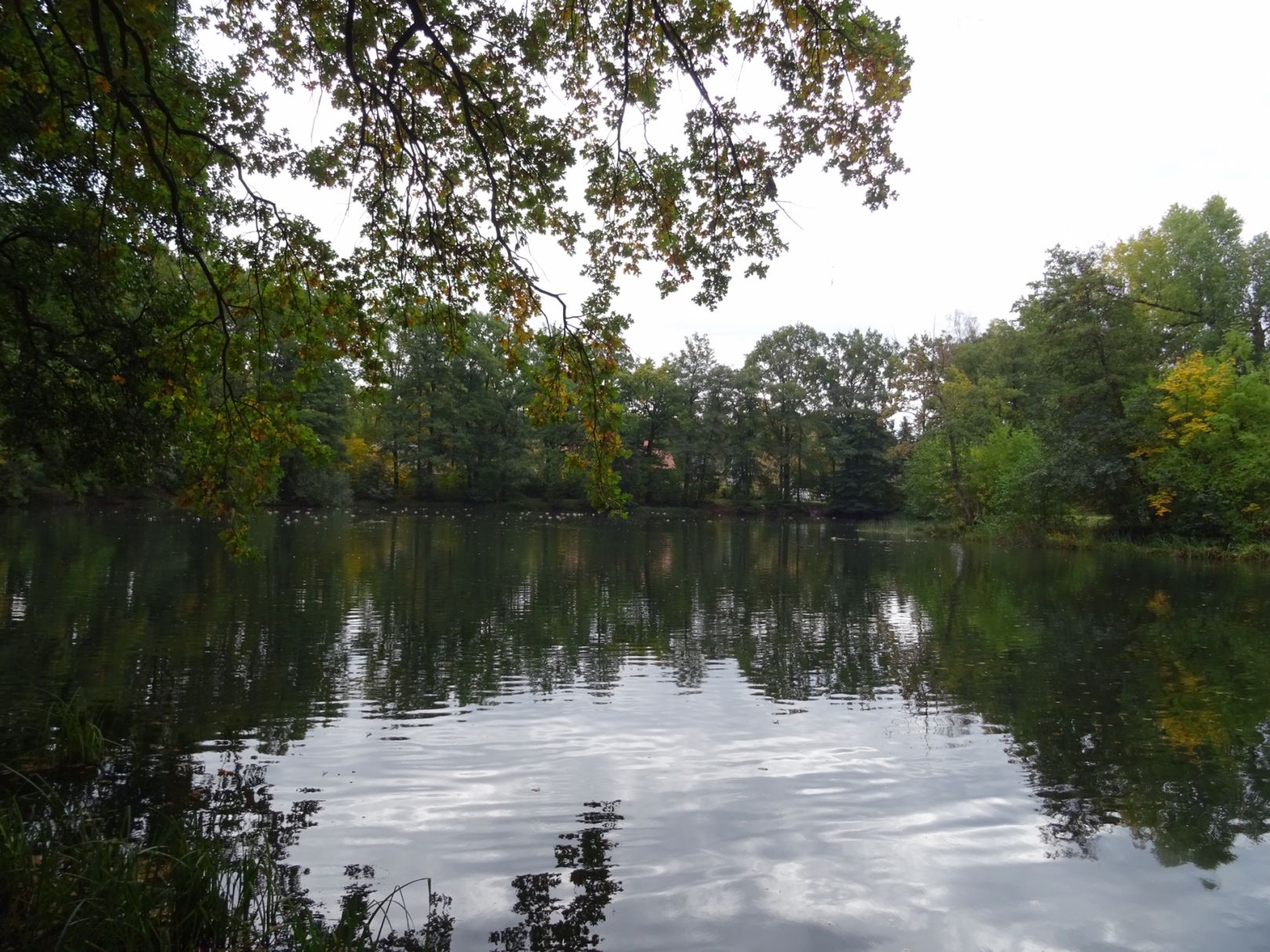 Nymphensee (Rangsdorf) angeln