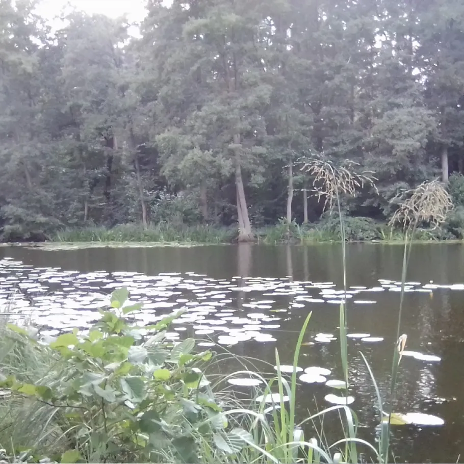 Krummer Pfuhl (Biesenthal) angeln