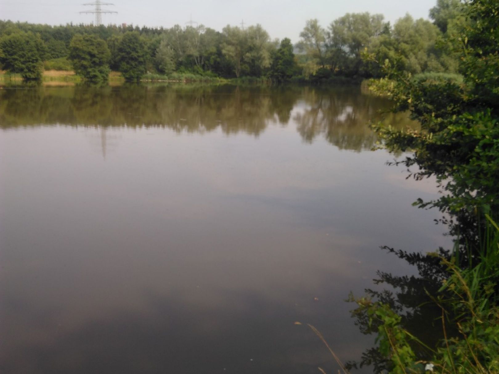 Sterenbachsee (Wittlich) angeln