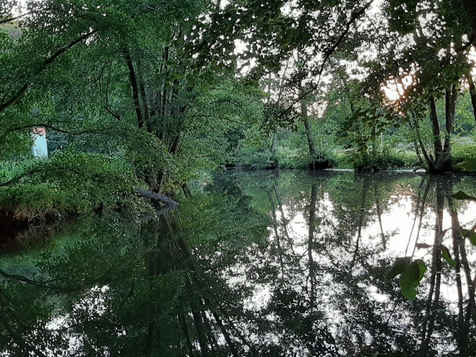 Schwarze Laber (Nittendorf) angeln