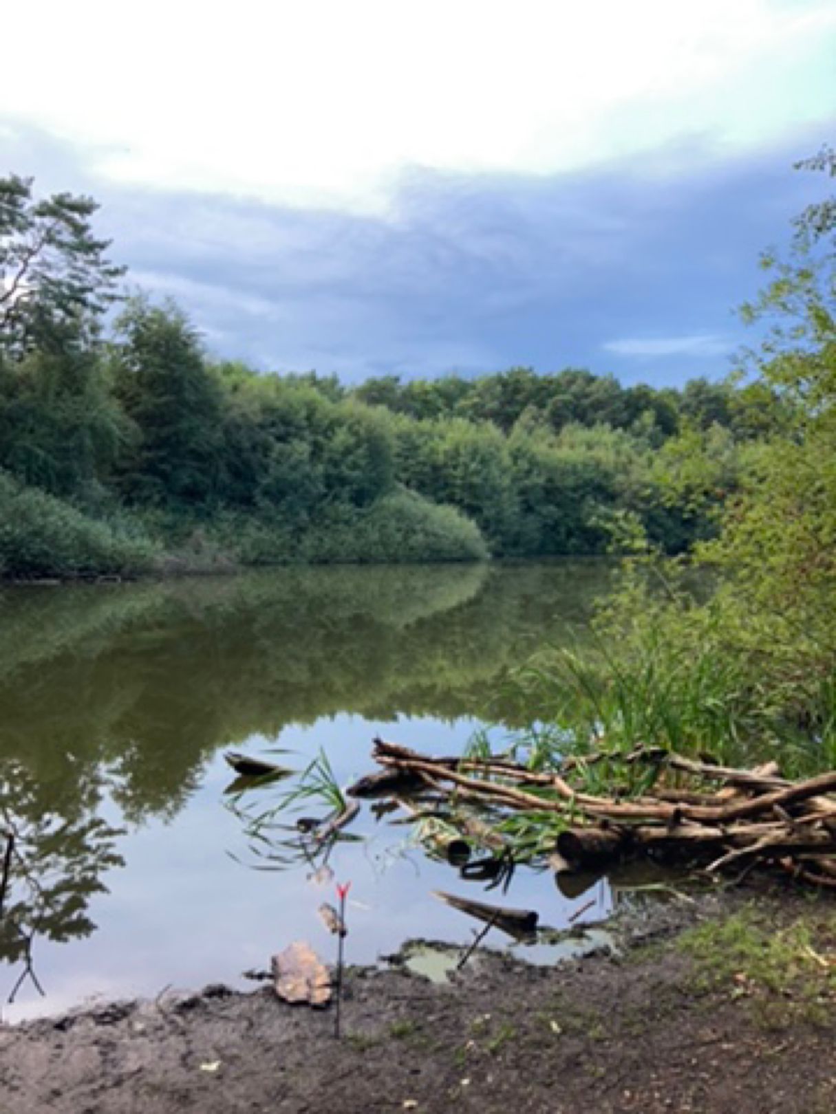 Pechpfuhle (Ludwigsfelde) angeln