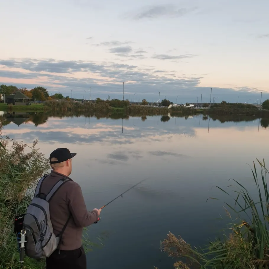 Auesee (Bremerhaven) angeln