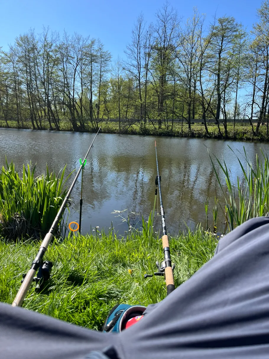Angelteich SFV Pleißa angeln