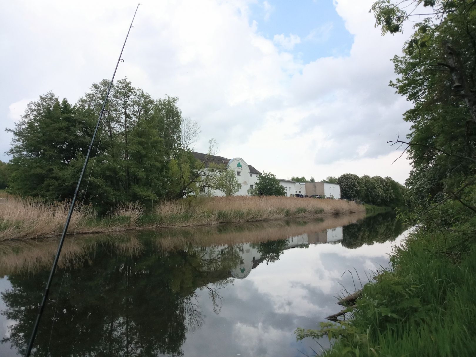 Freiberger Mulde (Nossen) angeln