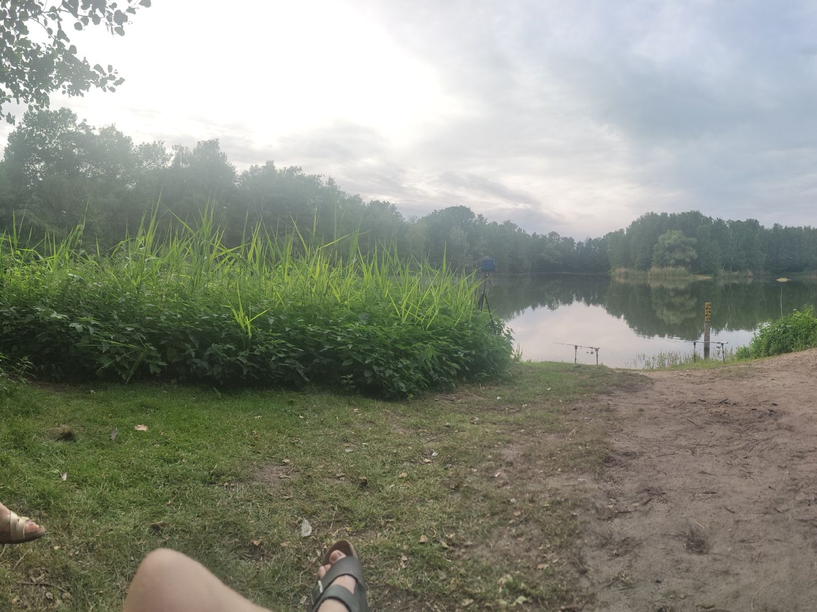 Teich Vechelde angeln