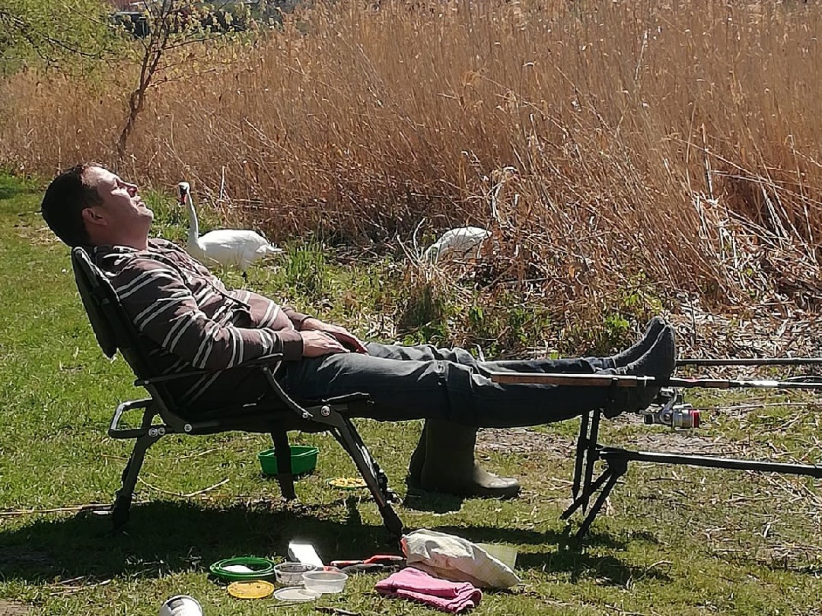 Laake (Löderburg) angeln