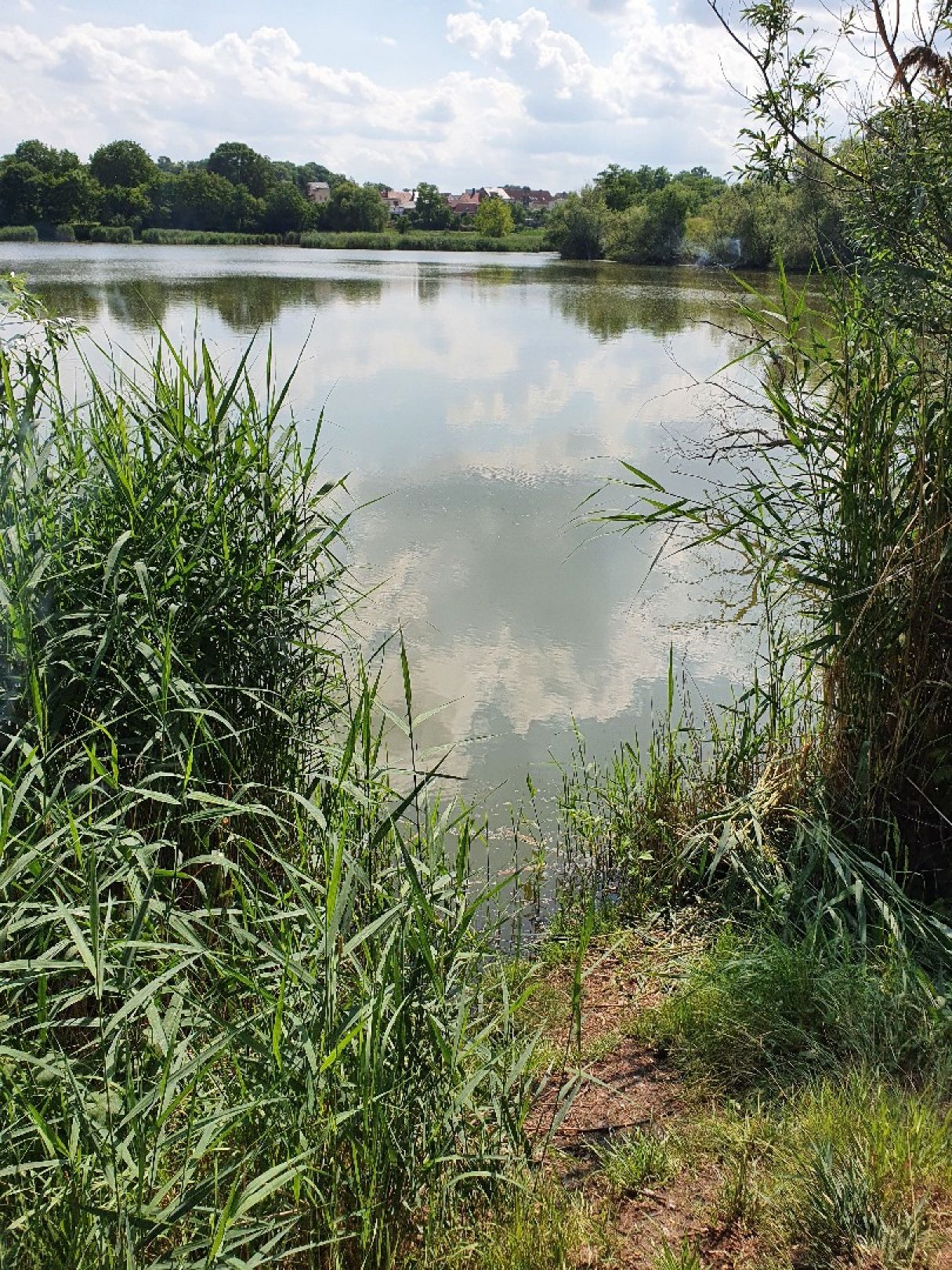 Angeln in Wolmirsleben