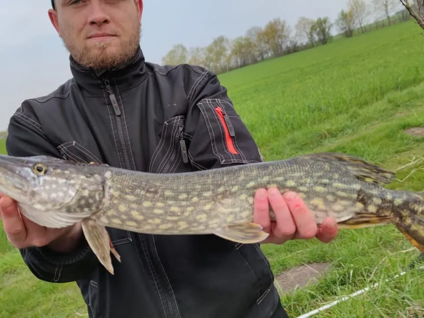 Gartenteich Rätzlingen angeln