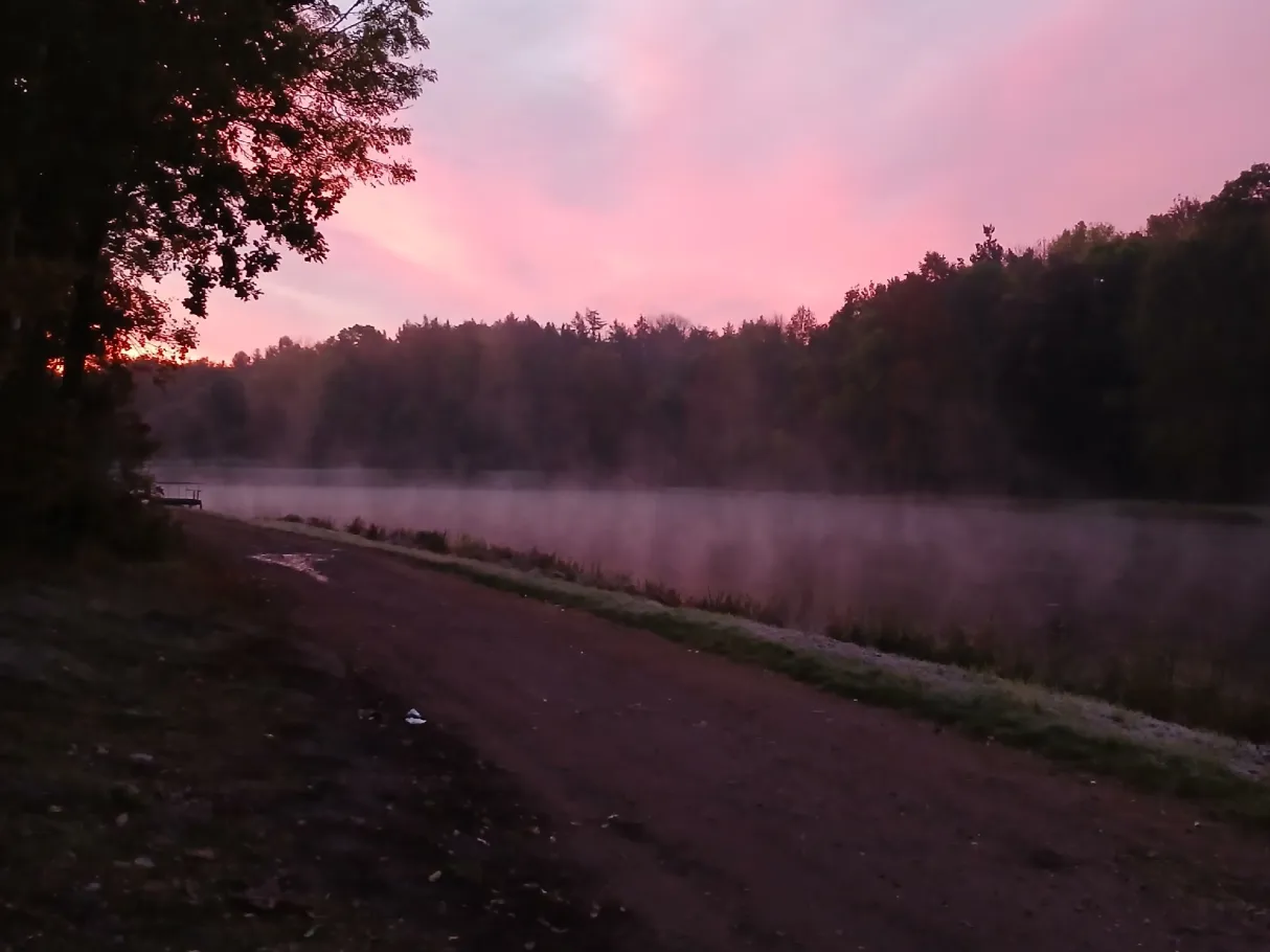 Ölgrundteich (Hettstedt) angeln