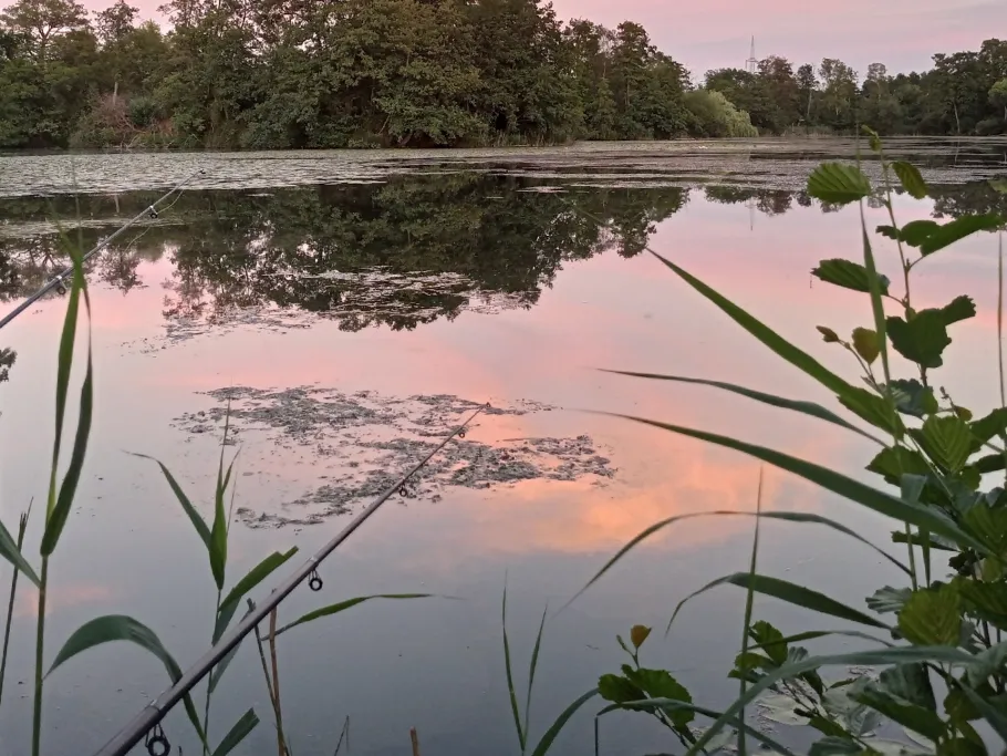 Kiesgrube Netzband angeln