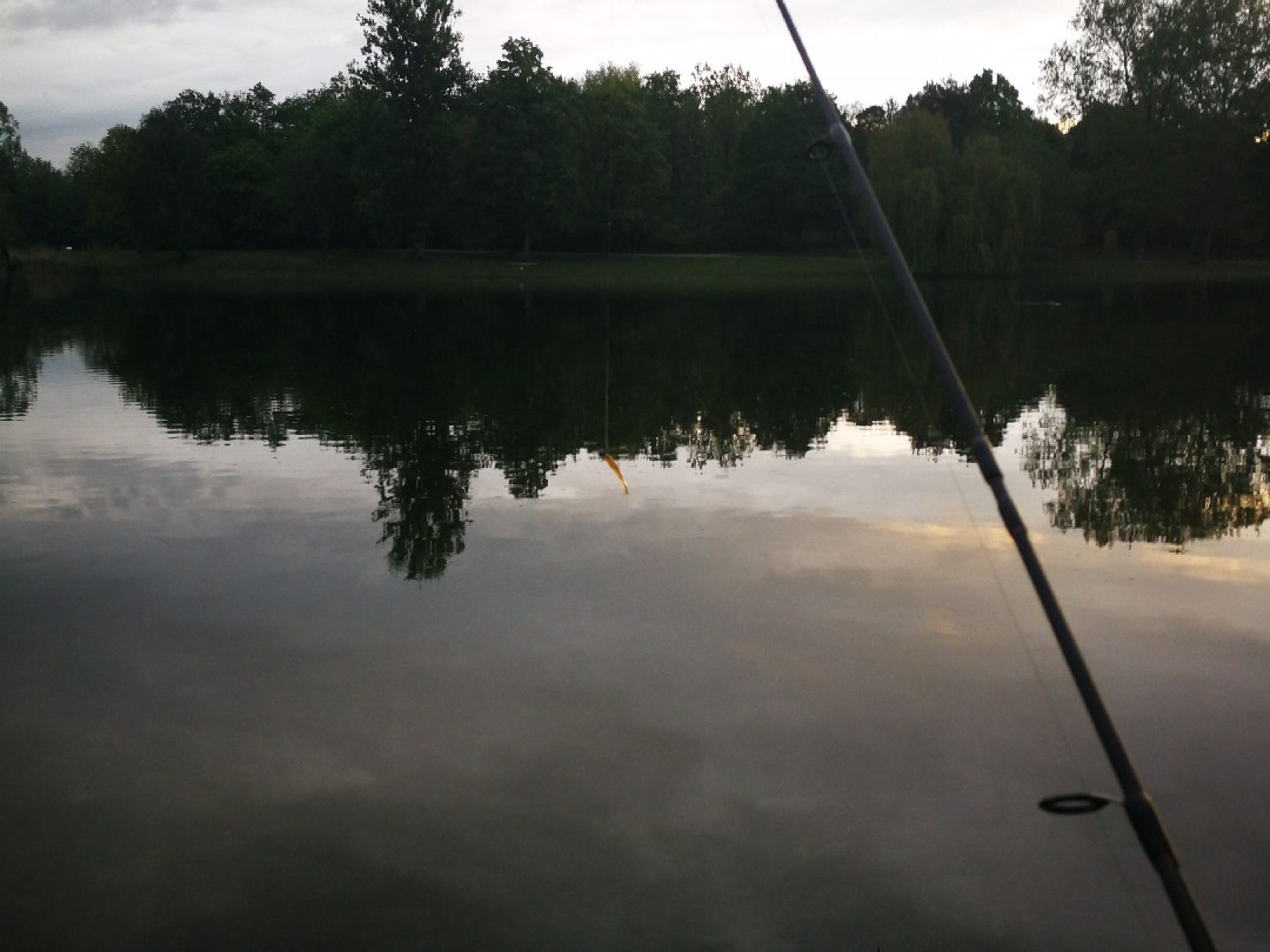 Auwaldsee (Ingolstadt) angeln