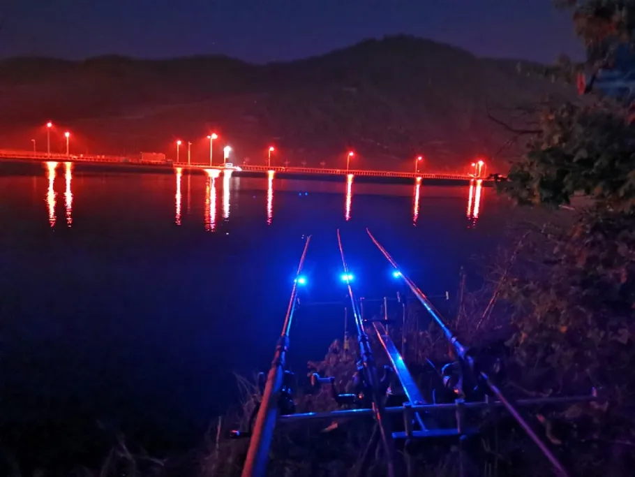 Mosel (Ellenz-Poltersdorf) angeln