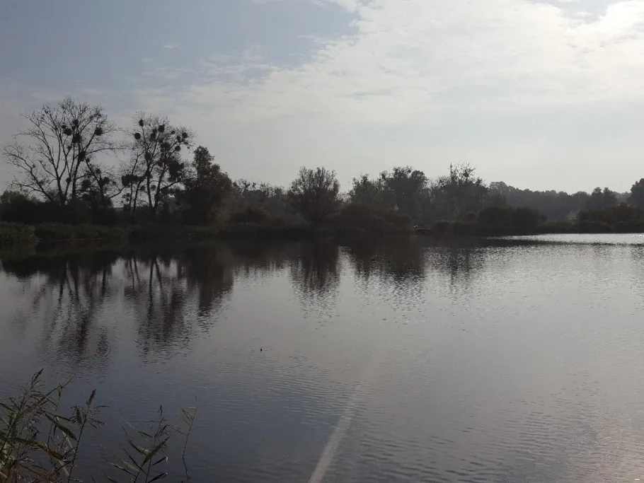 Runder See (Teschow) angeln