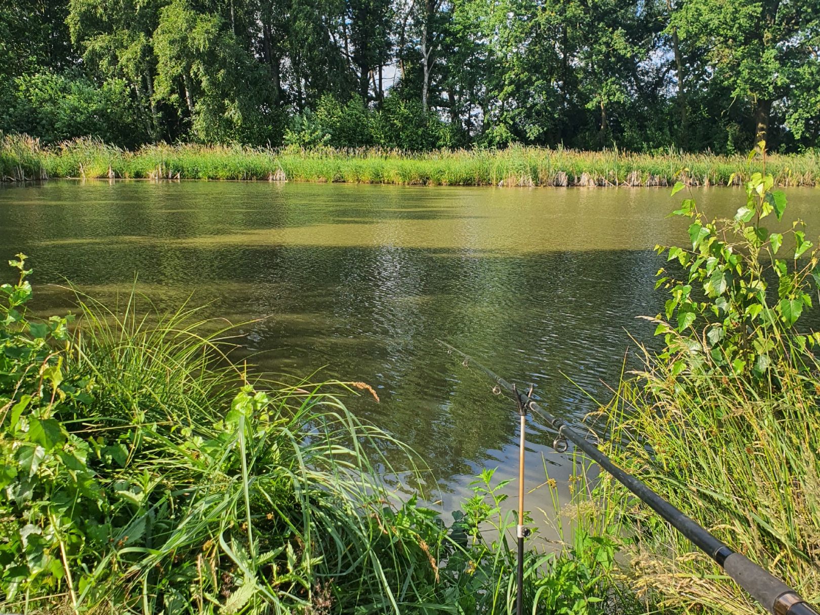 Teich am Oberen Anger (Nemt) angeln