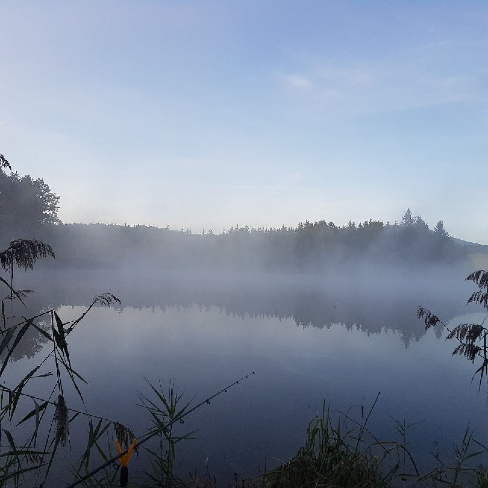 Schönewalder Weiher (Rückholz) angeln