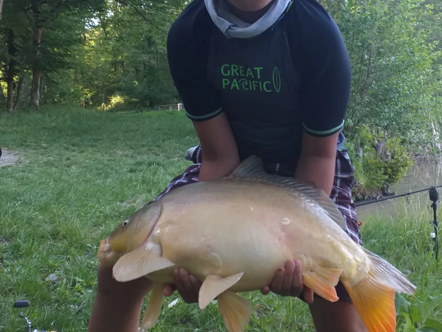 Annasee (Beilstein) angeln