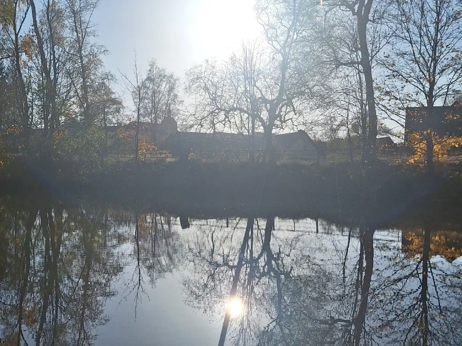 Fauler Teich (Hasselfelde) angeln