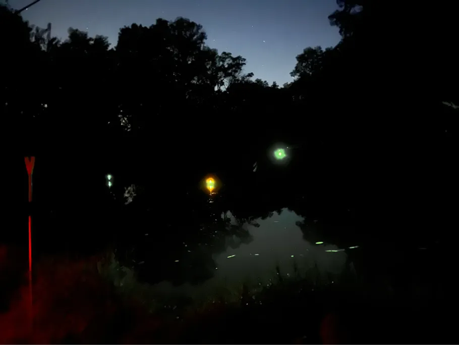 Koppelteiche Hundisburg angeln