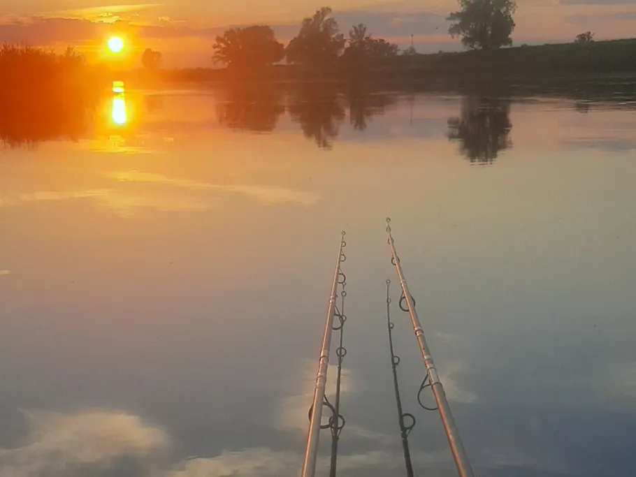 Elbe (Kunzwerda/Pülswerda) angeln