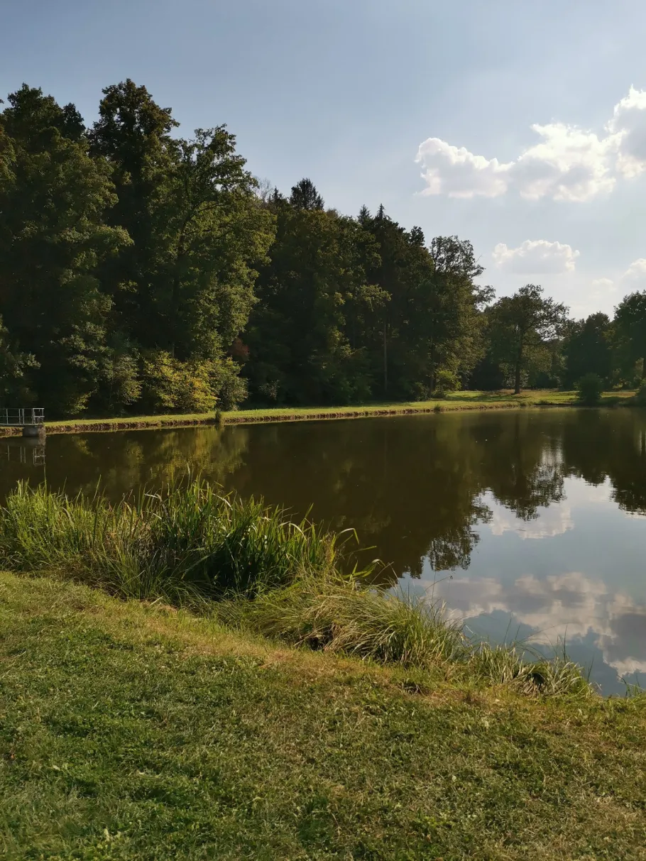 Altes Bad (Mülsen St. Jacob) angeln