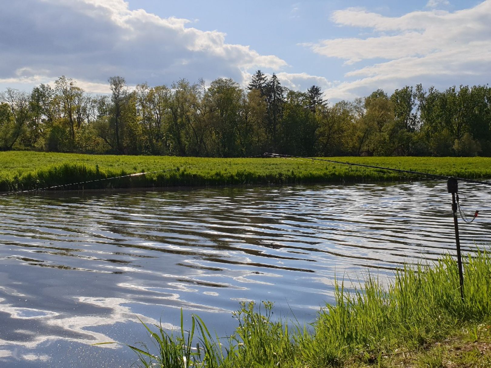 Nauen-Paretzer Kanal angeln